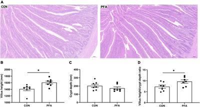 Supplementation with paraformic acid in the diet improved intestinal development through modulating intestinal inflammation and microbiota in broiler chickens